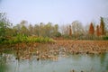 Luoyang Sui and Tang site Botanical Garden