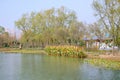 Luoyang Sui and Tang site Botanical Garden