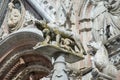 Lupa Senese - Symbol of Siena, Italy Royalty Free Stock Photo