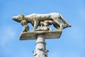 Lupa Senese - Symbol of Siena, Italy Royalty Free Stock Photo