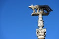 Lupa Senese - Symbol of Siena Italy