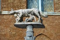 Lupa Senese - Symbol of Siena Italy