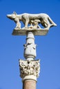 Lupa Senese or she-wolf of Siena on Italy Royalty Free Stock Photo