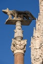 Lupa Senese - Symbol of Siena - Italy