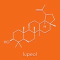 Lupeol molecule. Skeletal formula. Royalty Free Stock Photo
