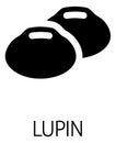 Lupin Bean Legume Food Icon Concept