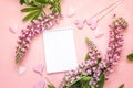 Lupine flower and open blank notepad on pink background. Space Royalty Free Stock Photo