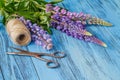 Lupine flowers on a wooden background Royalty Free Stock Photo