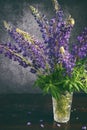 Lupine. Still life with purple flowers bouquet in vase. Royalty Free Stock Photo