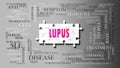 Lupus - a complex subject, related to many concepts. Pictured as a puzzle and a word cloud made of most important ideas and