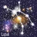Lupus Constellation with Beautiful Bright Stars on the Background of Cosmic Sky Vector Illustration