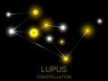 Lupus constellation. Bright yellow stars in the night sky. A cluster of stars in deep space, the universe. Vector illustration