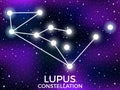 Lupus constellation. Starry night sky. Zodiac sign. Cluster of stars and galaxies. Deep space. Vector