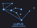 Lupus constellation. Stars in the night sky. Cluster of stars and galaxies. Constellation of blue on a black background. Vector
