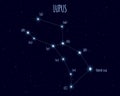 Lupus constellation, vector illustration with the names of basic stars