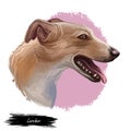 Lurcher dog, offspring of sighthound mated with pastoral breed or terrier, digital art illustration of cute canine animal. Brown Royalty Free Stock Photo