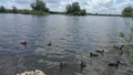 Lurgan park lake nice day