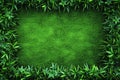 Luscious green lawn framed by dark edges, ideal for wallpapers