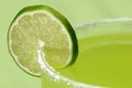 Luscious Lime Royalty Free Stock Photo