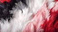 Luscious Red, black and white soft feathers and fur pattern texture background. Fur and feathers pattern texture. Close up. Royalty Free Stock Photo