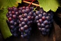 Luscious Red wine grapes. Generate Ai Royalty Free Stock Photo