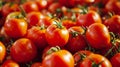 The Luscious Tapestry of Ripe and Radiant Tomatoes: A Captivating Background