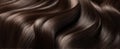 The Luscious Waves of Shiny Brown Hair in Elegant Flow.AI generated image Royalty Free Stock Photo