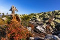 Lusen mountain Bayerischer wald nationalpark. Dried trees on the top of the mountain. View of the valley in the national Bayerisch