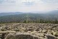 Lusen mountain top panorama, Bavarian forest, Germany