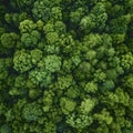 Lush aerial view of dense forest canopy Royalty Free Stock Photo