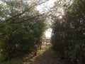 lush archway through nature countryside to walk and ramble through with wooden gate entrance