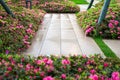 Path in blooming garden