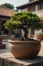 Serene Bonsai Tree in Clay Pot, Asian Garden Setting Royalty Free Stock Photo