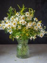 Lush bouquet of field daisies in a glass vase on a gray background Royalty Free Stock Photo