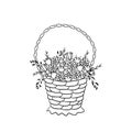 A lush bouquet of flowers in a basket. Hand drawn vector illustration in Doodle style.