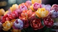 A lush bouquet of multicolored tulips, including shades of red, yellow, pink, and purple Royalty Free Stock Photo