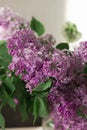 Lush bouquet of pink lilacs. Home atmosphere. Sunlight