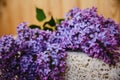 Lush bright lilac close Royalty Free Stock Photo