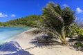 Lush Caribbean tropical plants on empty white sand beach and green blue sea with wooded hills Saltwhistle Bay Mayreau Grenadines