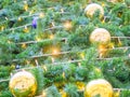 Lush Christmas tree with glowing garland, blue and golden balls. Full-screen photos