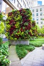 Lush colorful vertical garden in downtown Boston