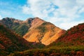 Lush colourful autumn forest of Taebaek Mountains, Gangwon-do, S Royalty Free Stock Photo