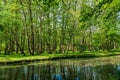 Fairhaven Woodland & Water Garden