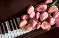 Tulips lie on the piano keys