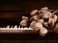 Tulips lie on the piano keys