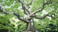 Lush decomposed tree watercolor illustration - Generative AI