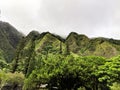 Lush Rainforest view iao Valley state park,  maui, Hawaii Royalty Free Stock Photo