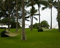 A lush empty lawn with palm trees and hammocks