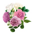 Lush english rose bouquets with leaves, hand drawn