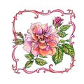 Lush English rose in a frame in art nouveau style